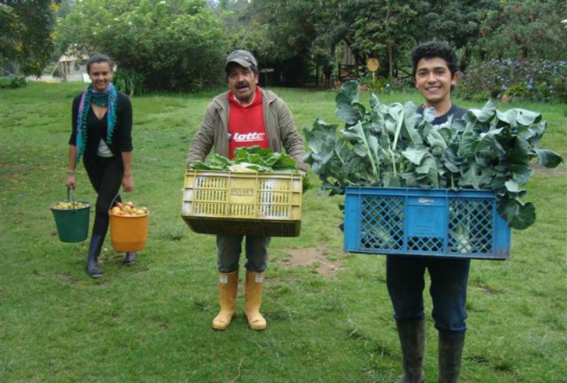 Where to volunteer in Colombia. Check it out.