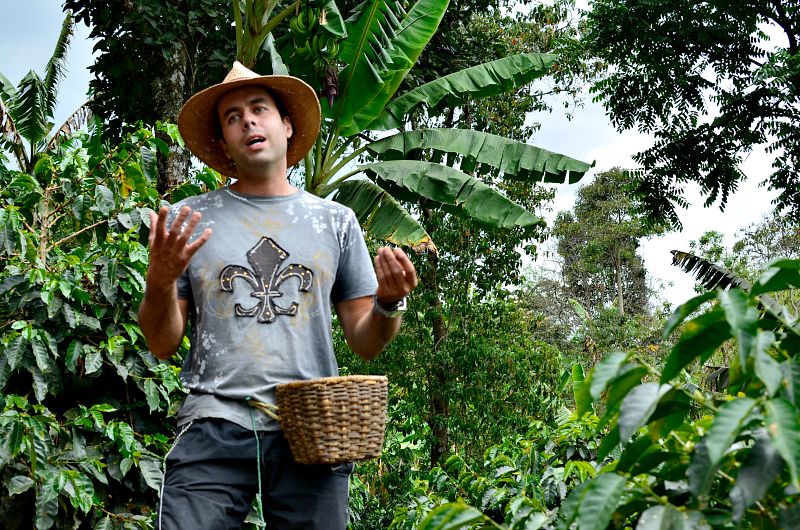 The Colombian coffee triangle and the history of coffee in the country