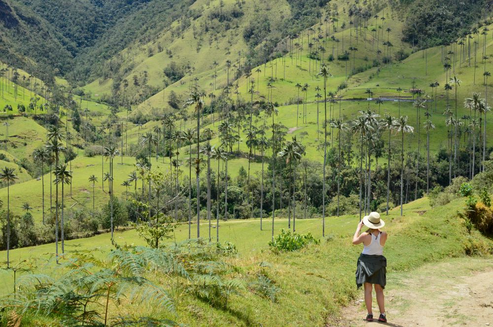 Colombian Coffee Triangle