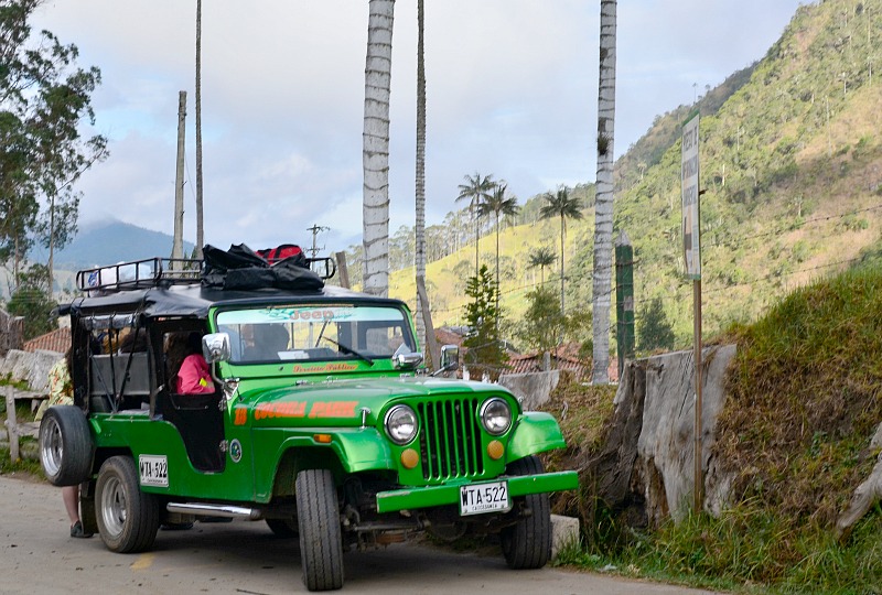 Cocora Valley