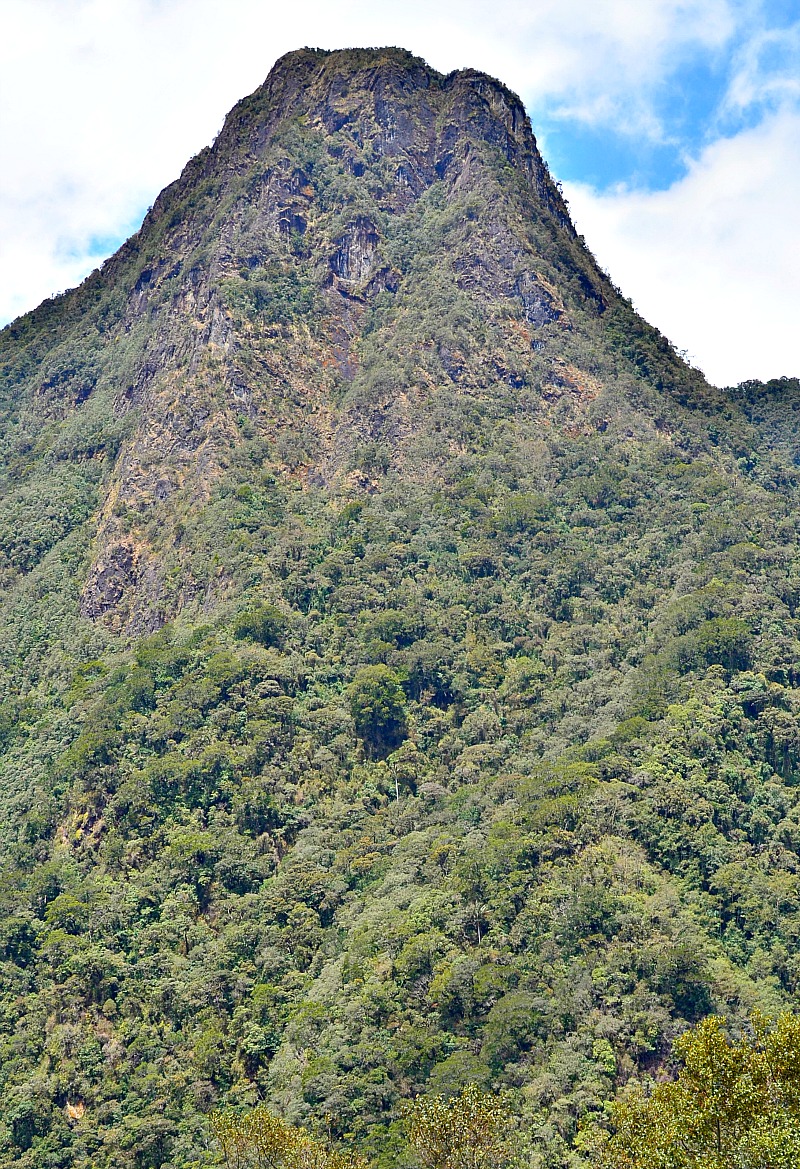 Cocora Valley