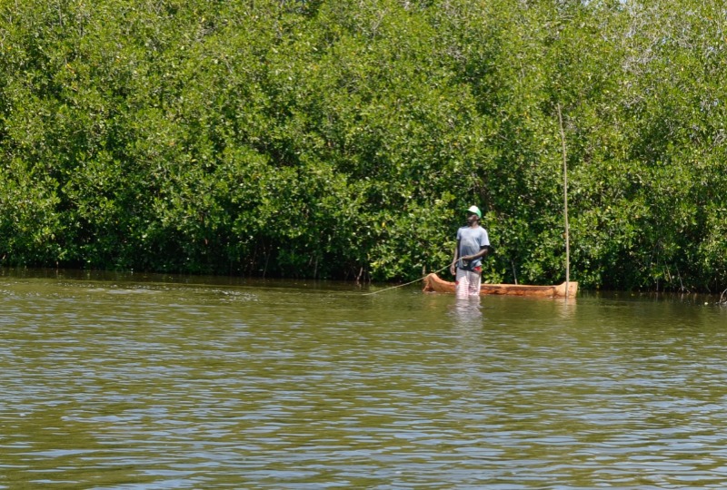 Cartagena Mangrove Tour