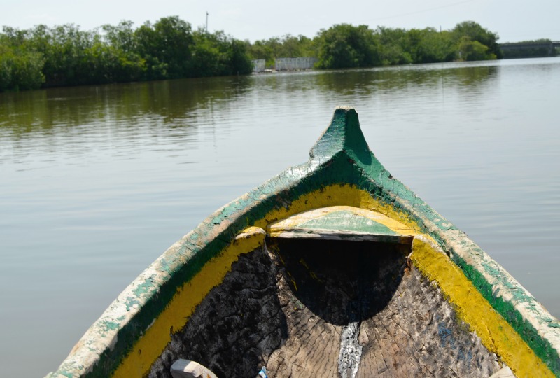 Cartagena Mangrove Tour