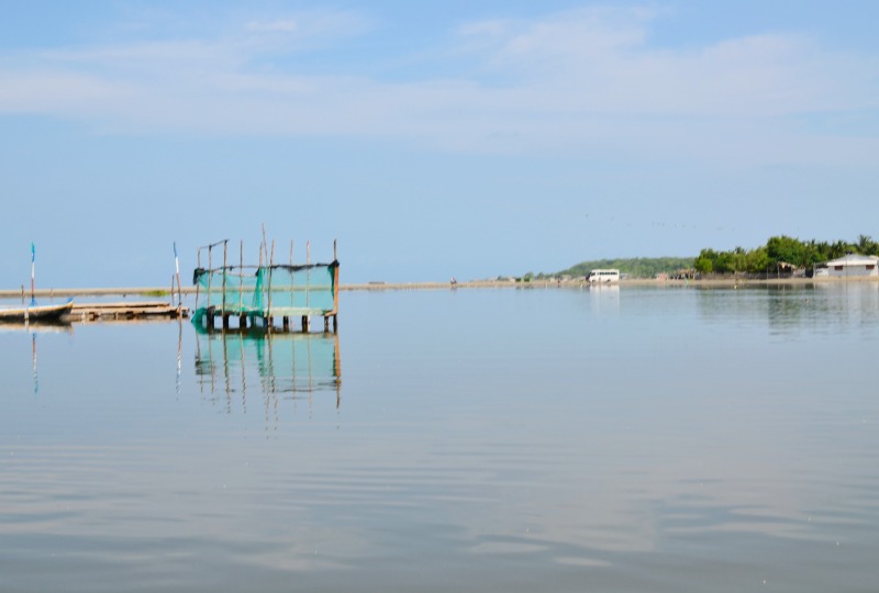 Cartagena Mangrove Tour