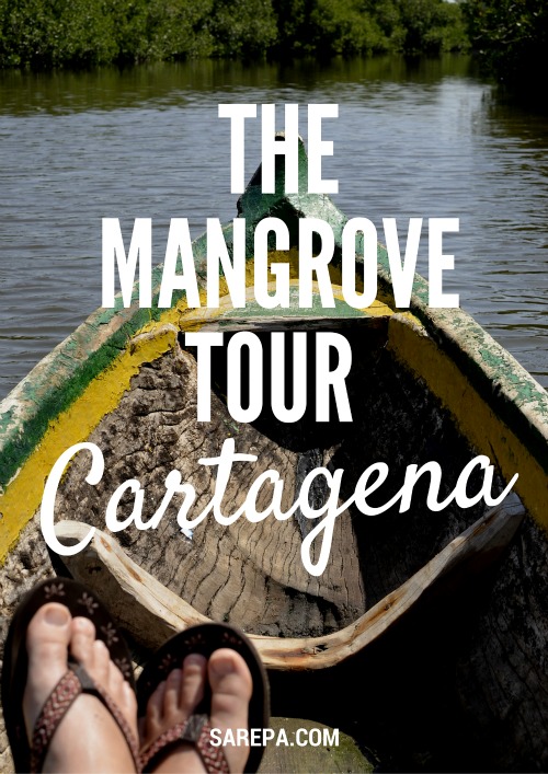 Cartagena Mangrove Tour