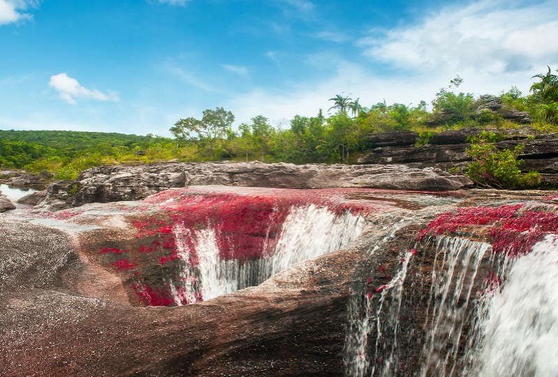 Hikes in Colombia - Cano Cristales
