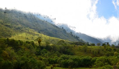 Trekking in Colombia