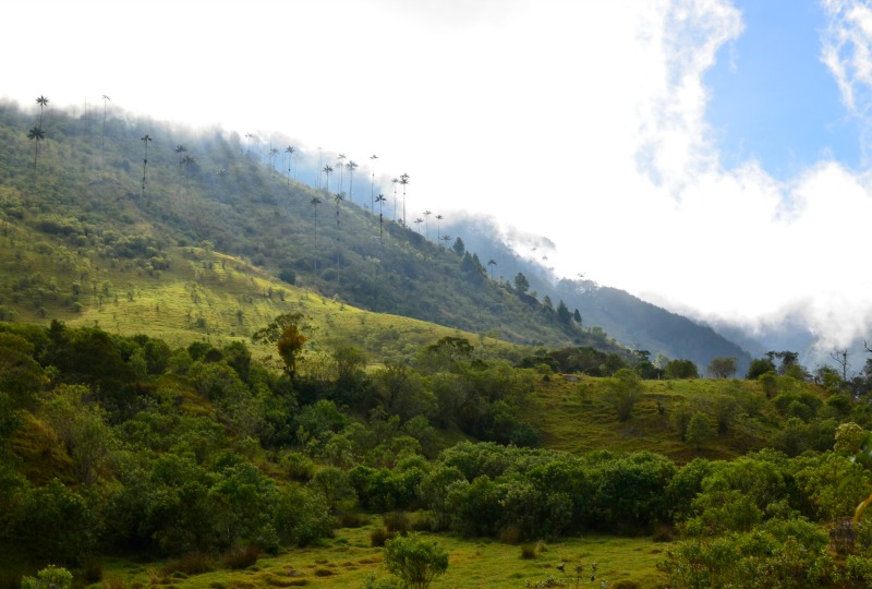 Trekking in Colombia