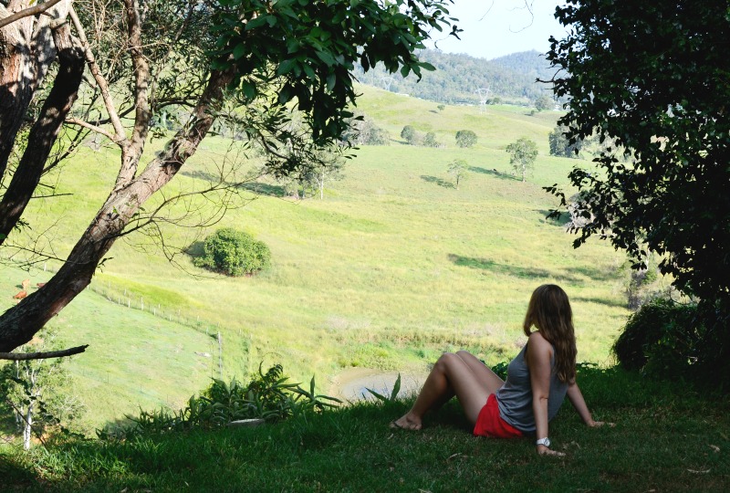 Dayboro Cottages and Llama Walks