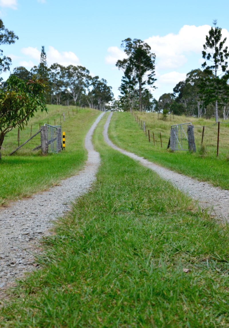 A country road in Dayboro