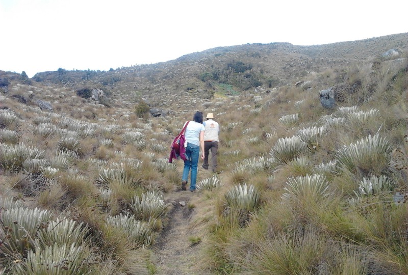 Mongui Boyaca Paramos