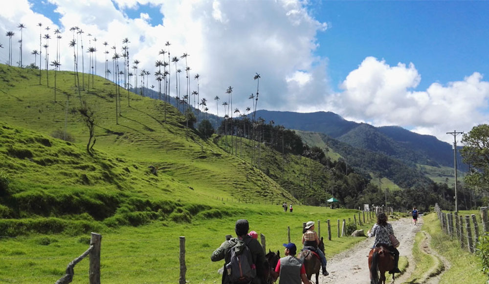 Tours in Colombia